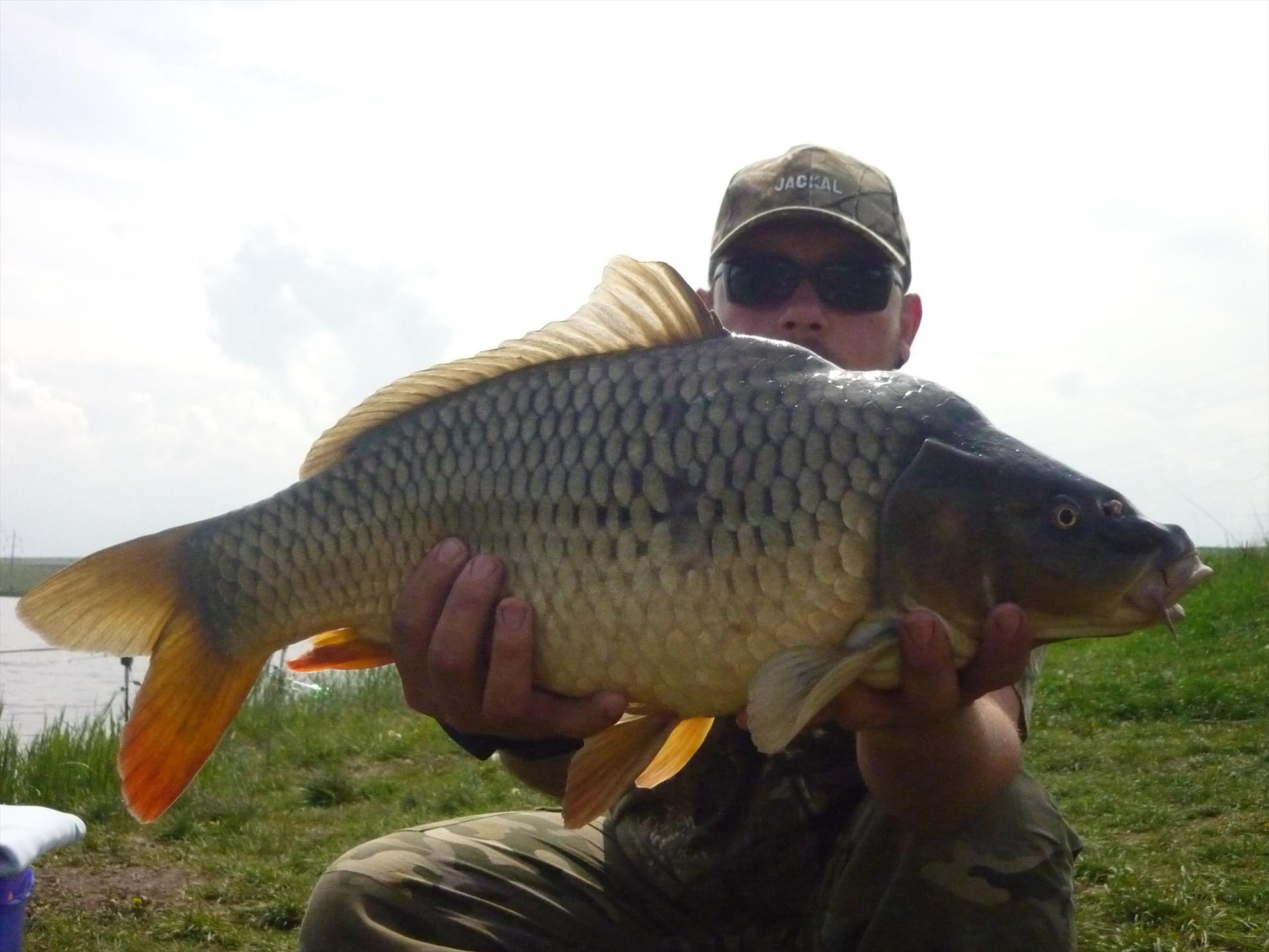 Stejeris 2011 - p1020007.JPG